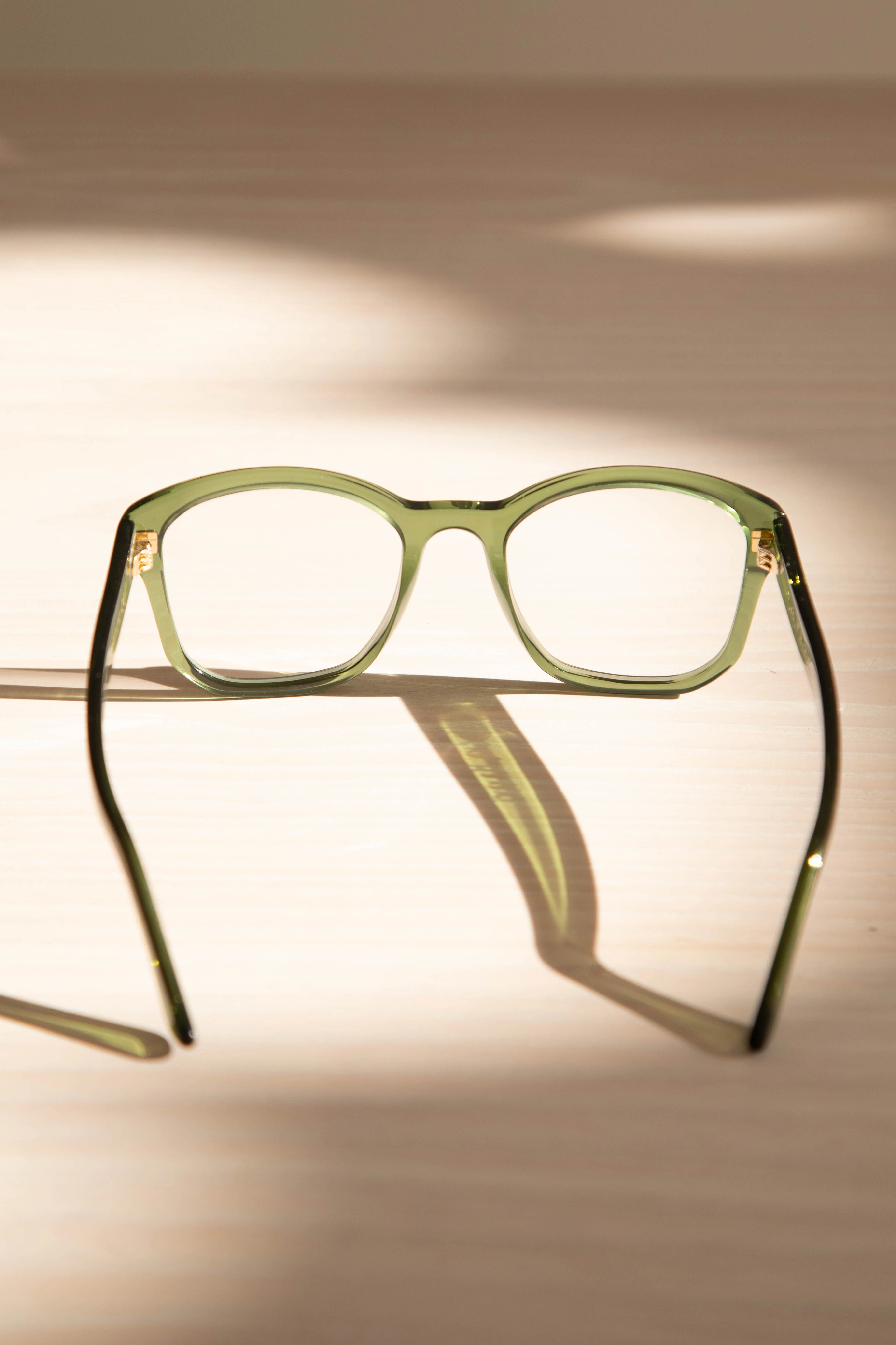 Eva Masaki | BQE Optical in Elm - Image 11