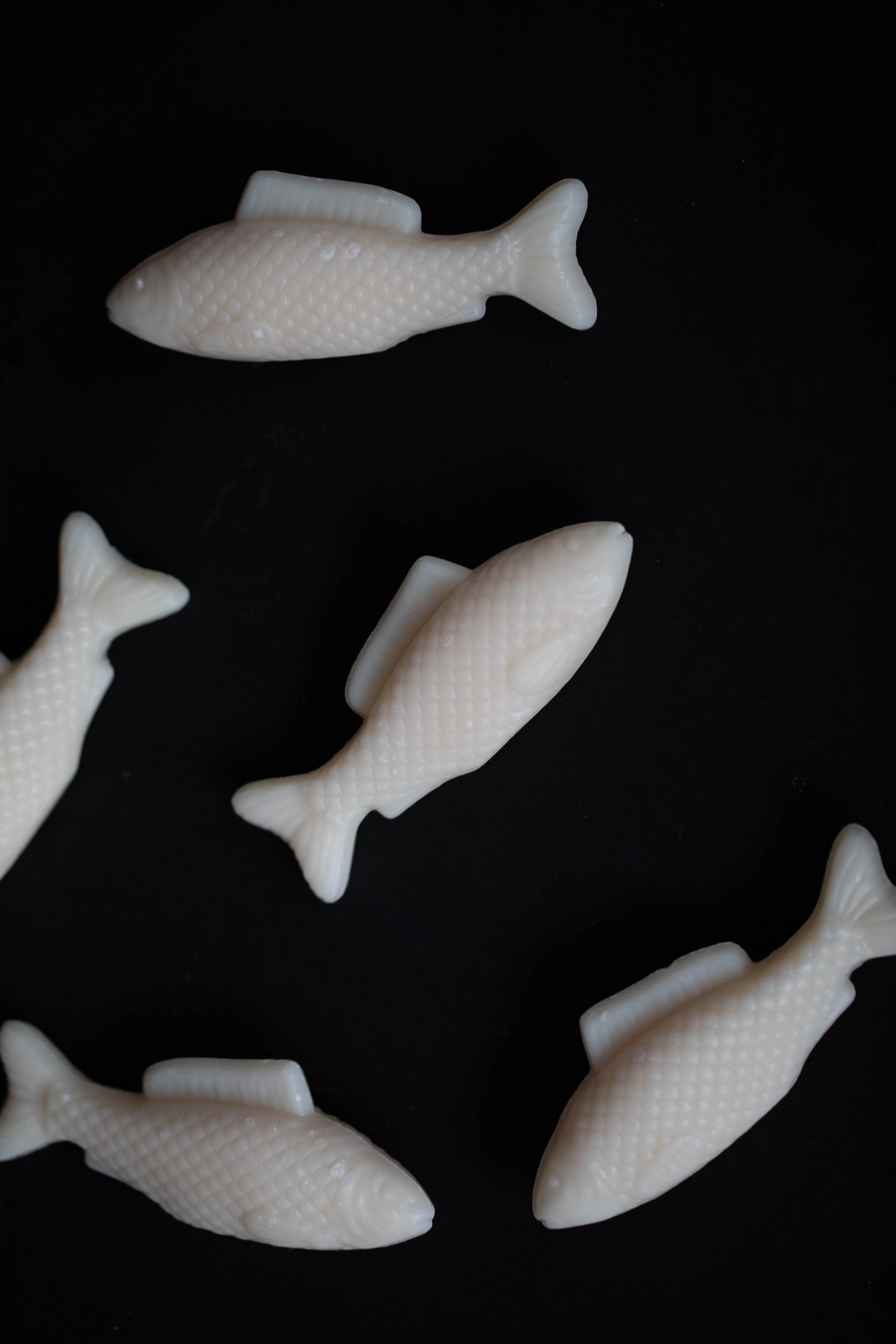 Fish Soap in Meadow - Image 6