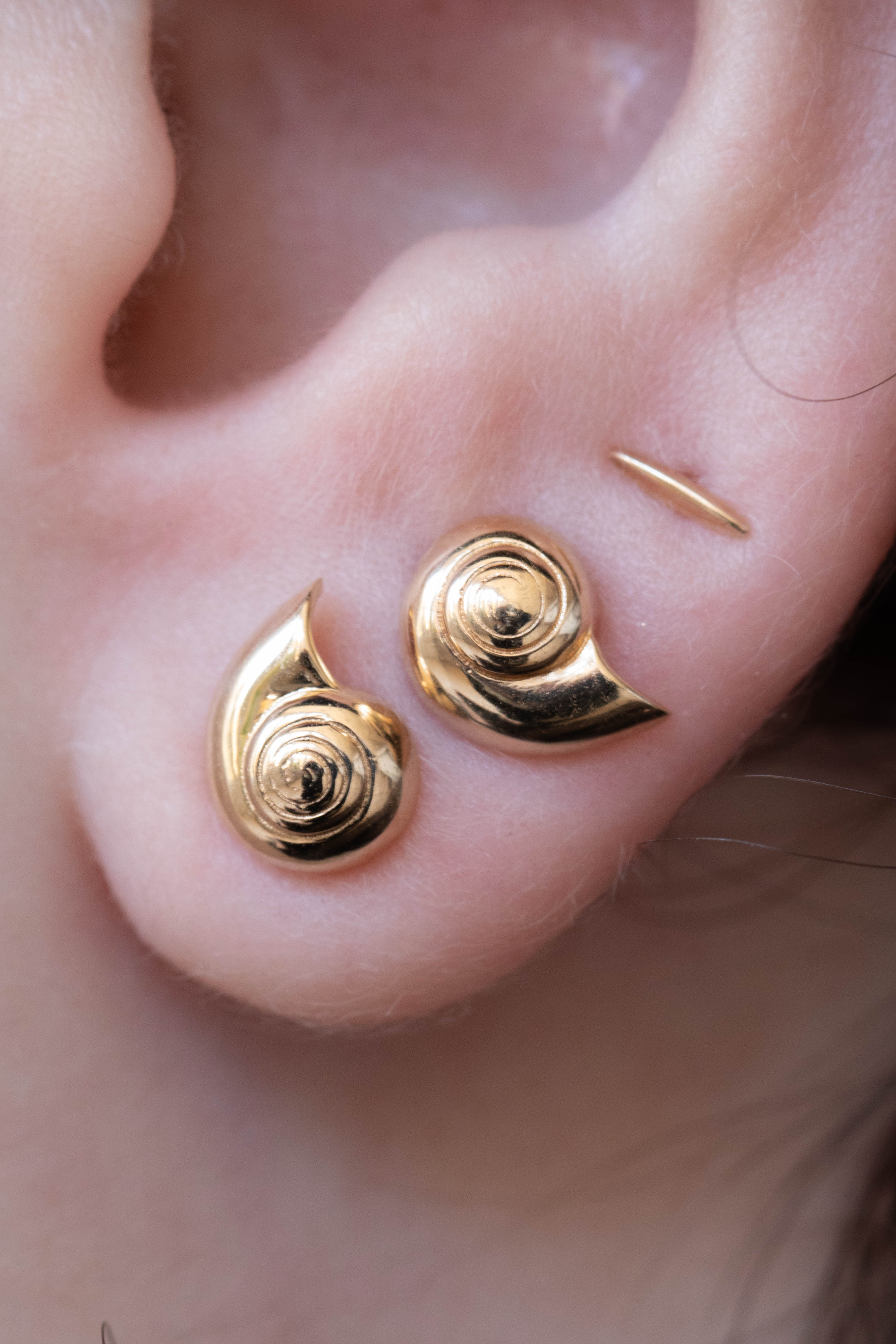 Kathryn Bentley | Nautilus Shell Earrings - Image 3